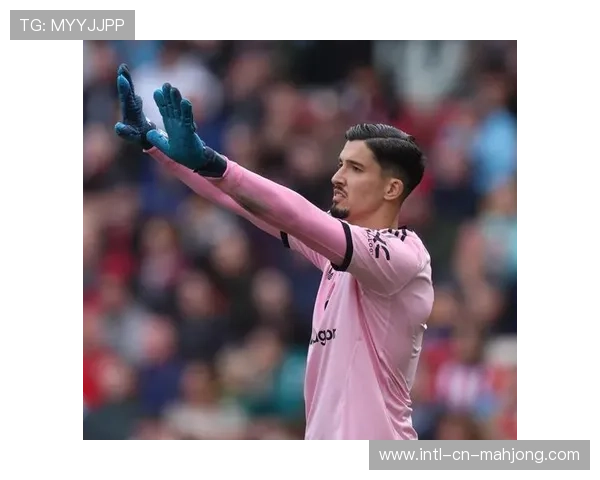 布伦特福德门将拉亚接受BBC专访，谈球队本赛季防守体系变化